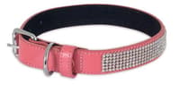 Dog Collars & Leashes - Collars